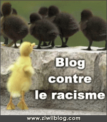 cooooooonte le racisme  tous encembles